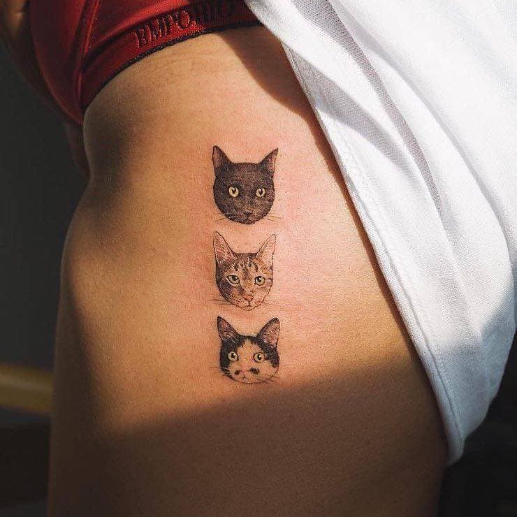 Fashion Tatuagem Gatos