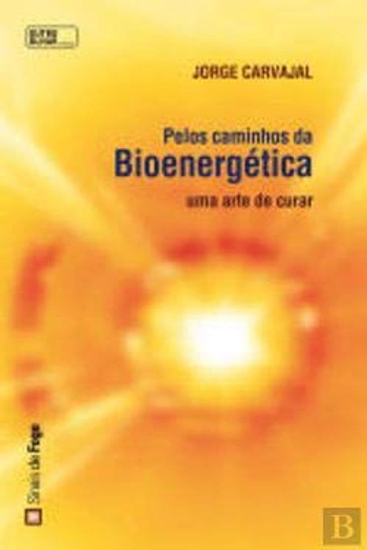 Book Pelos caminhos da Bioenergética