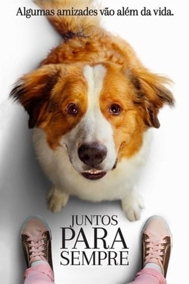 Película A Dog's Journey