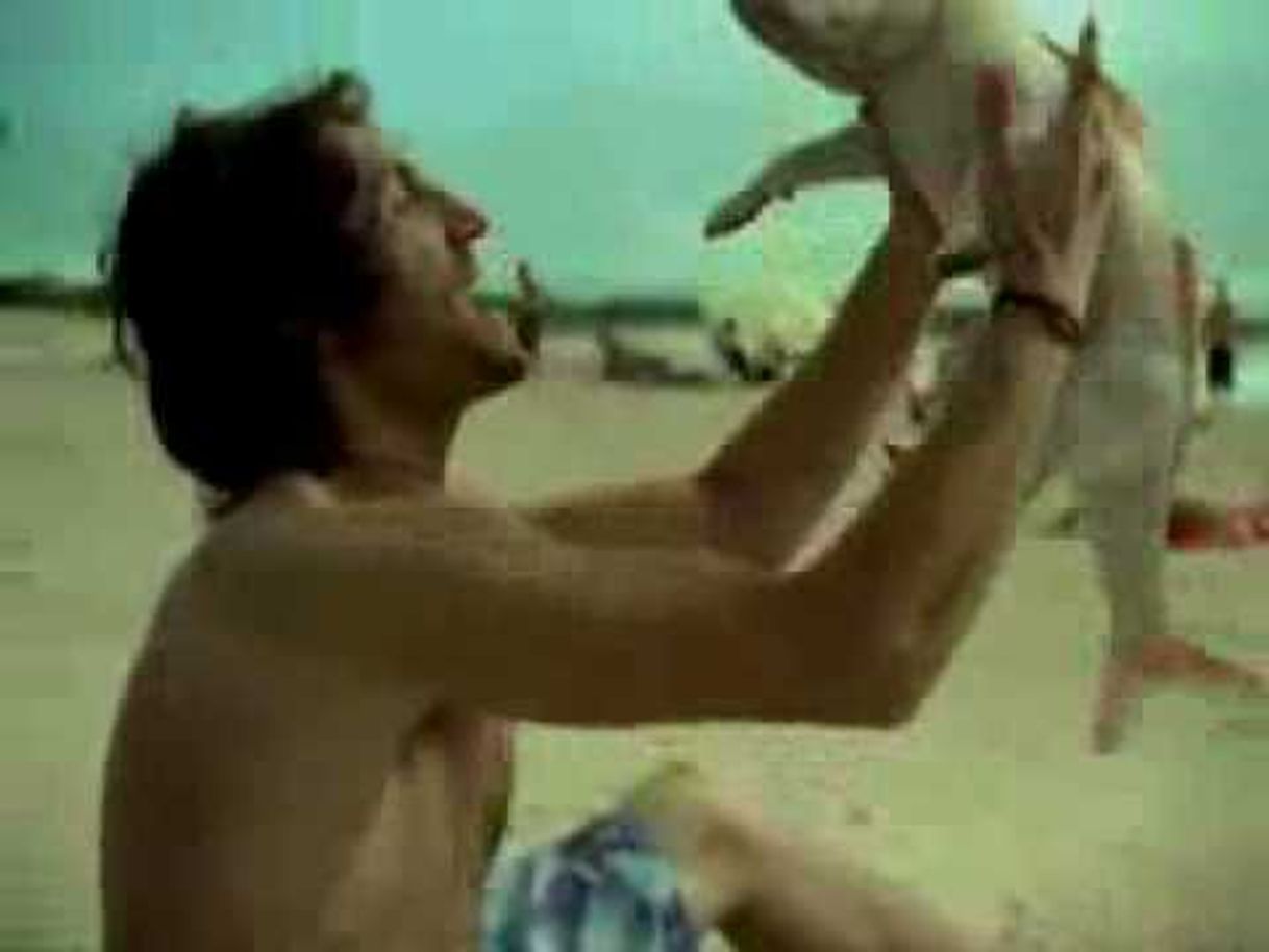 Fashion Cachorro-peixe Comercial SpaceFox - YouTube