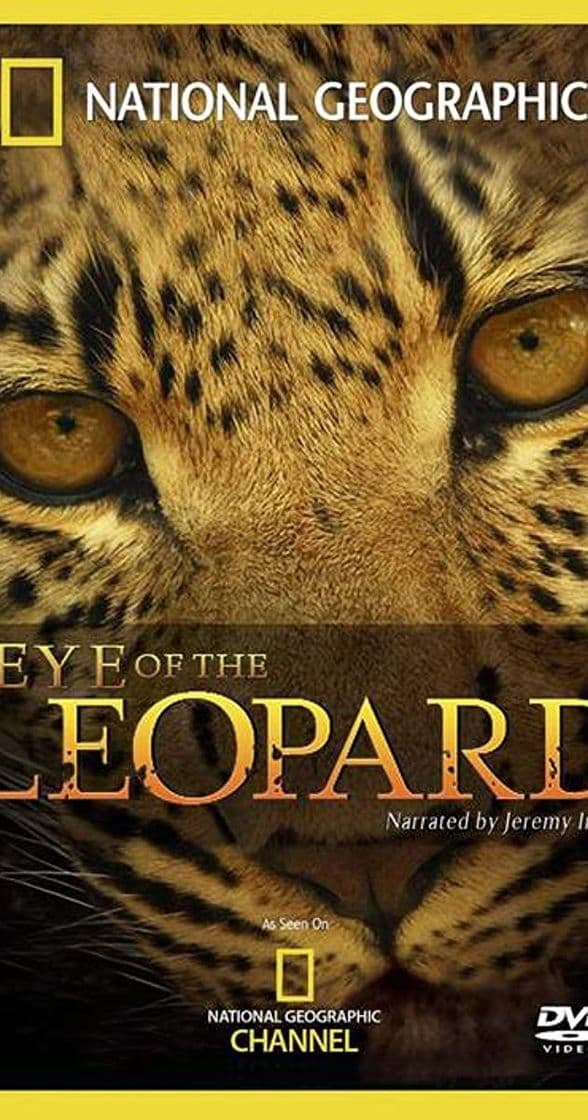 Movie Eye of the Leopard