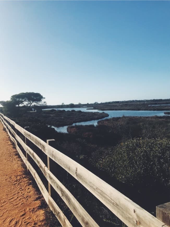 Lugar Ria Formosa