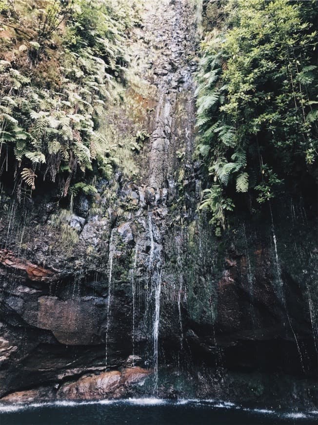 Place Calheta - Levada of 25 Fontes