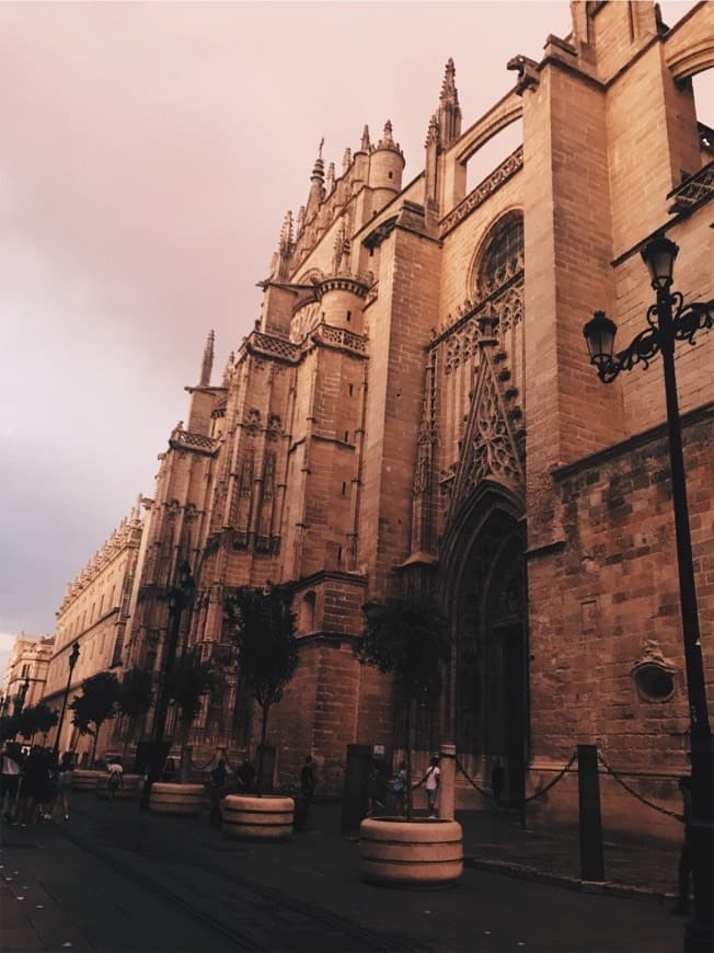 Place Catedral de Sevilla