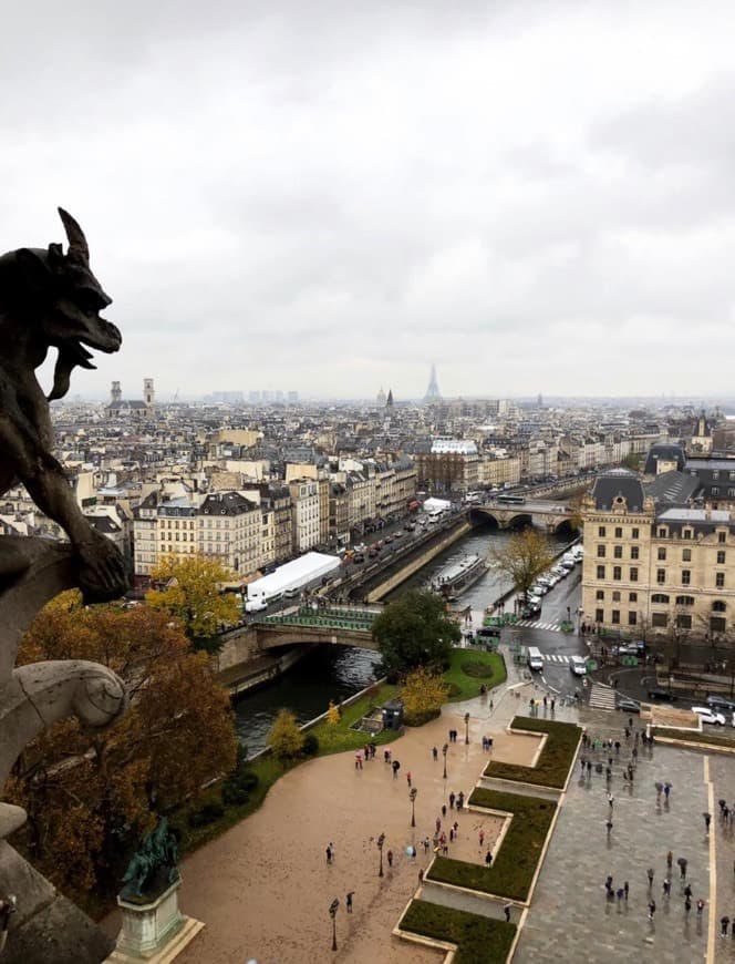 Place Notre Dame