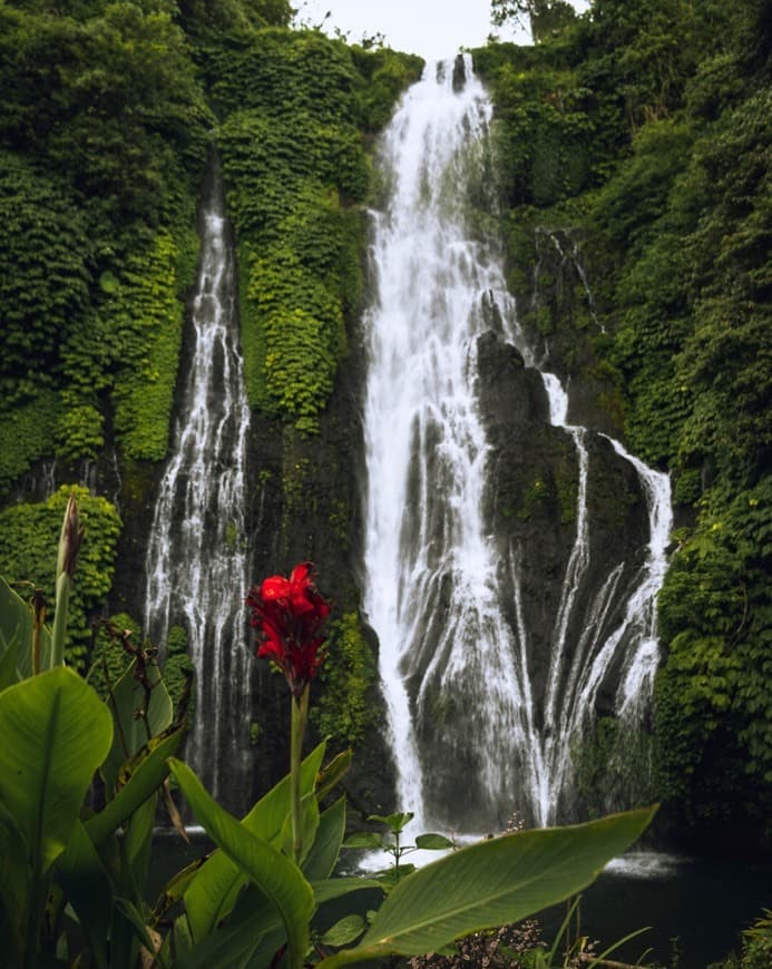 Lugar Banyumala Waterfall