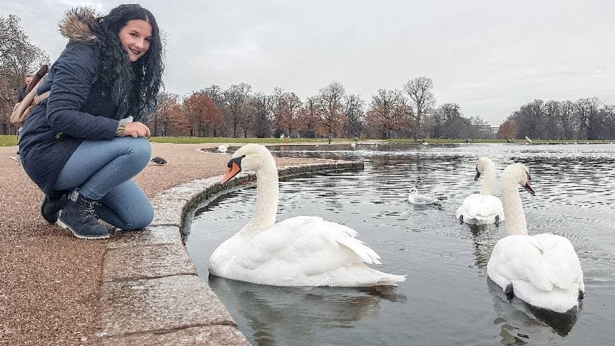 Place Kensington Gardens