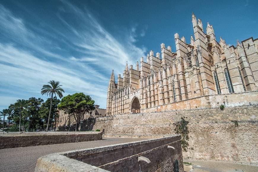 Place Catedral-Basílica de Santa María de Mallorca