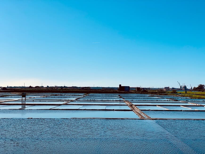 Place Salinas de Aveiro