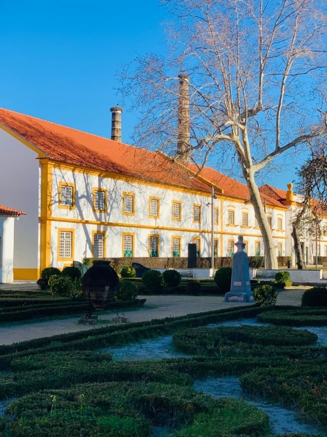 Place Museu Vista Alegre