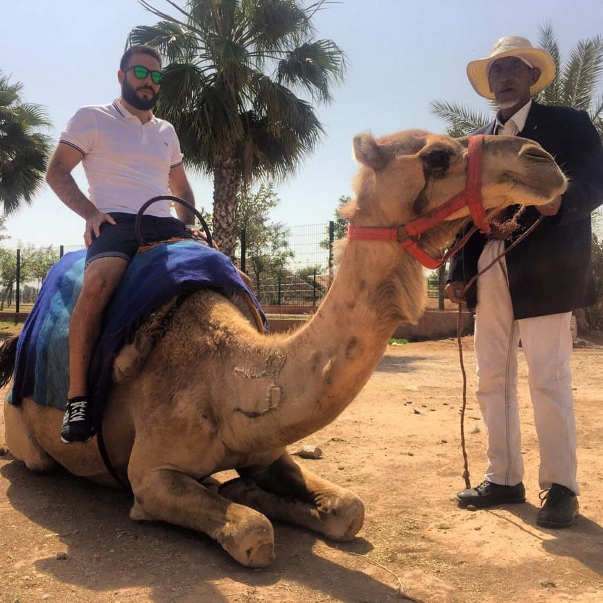 Place Dunes & Desert Quad Marrakech