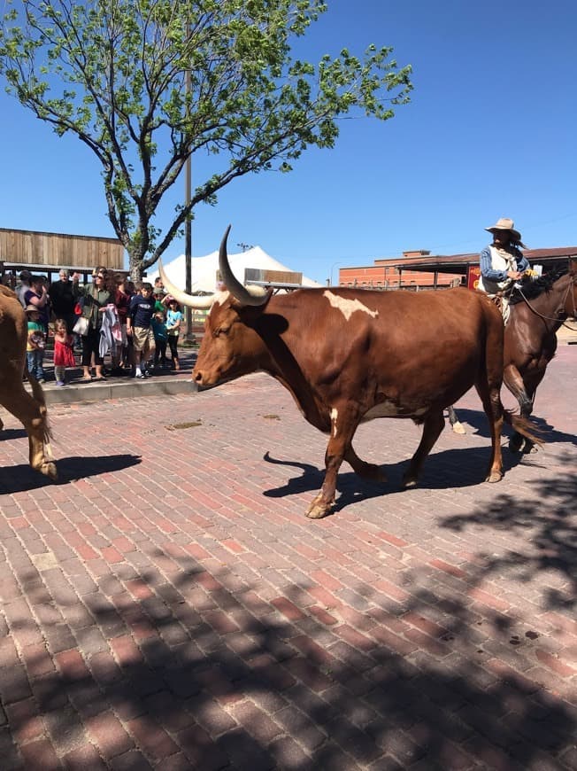 Place Fort Worth Stockyards