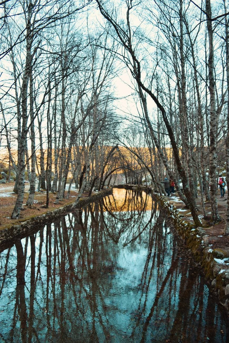 Place Covão d'Ametade