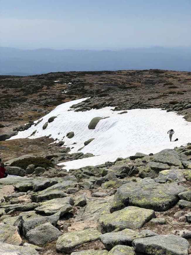 Moda Serra da Estrela 