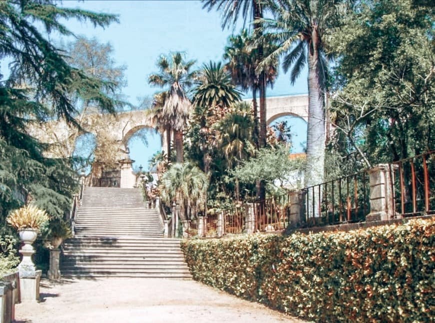 Lugar Jardim Botânico da Universidade de Coimbra