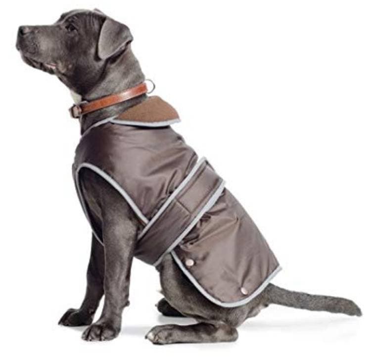 Fashion Dog coat