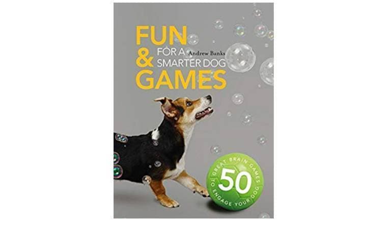 Fashion Fun and Games for a Smarter Dog