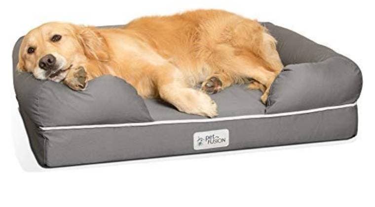 Fashion Dog bed