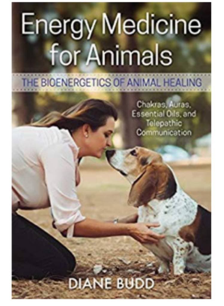 Libro Energy medicine for animals