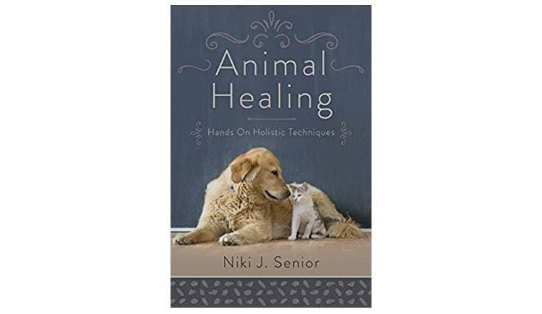 Book Animal Healing