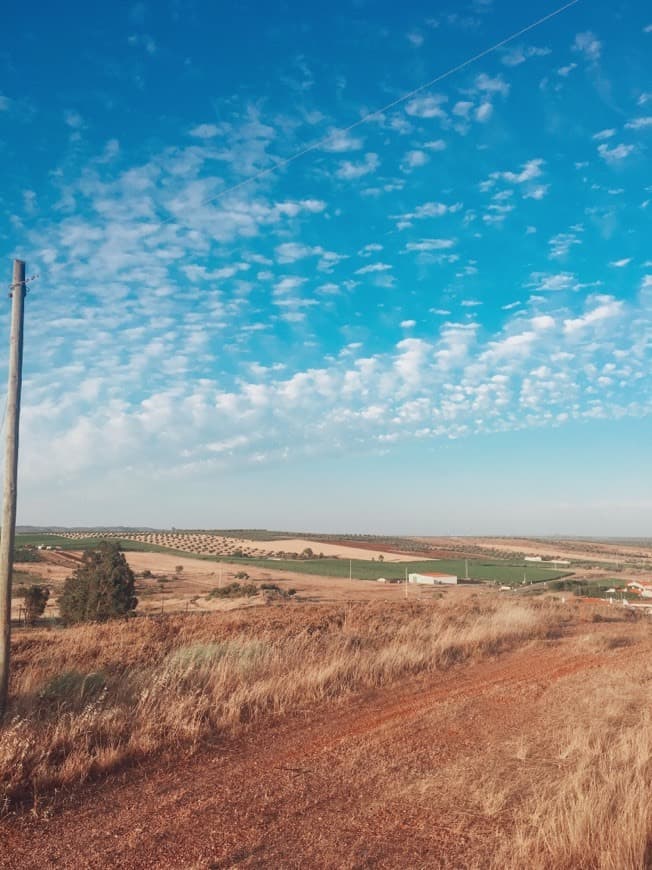 Place Pedrógão do Alentejo