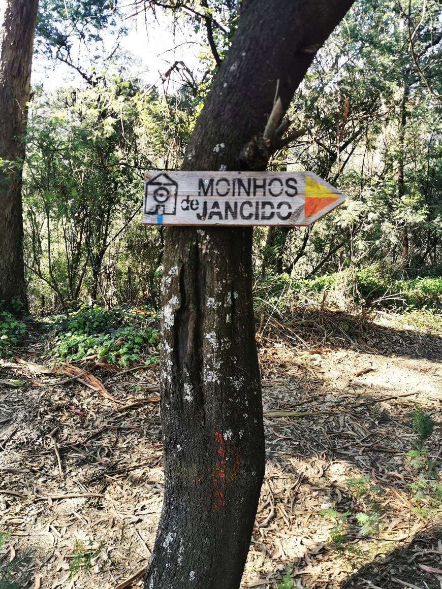 Place Moinhos de Jancido