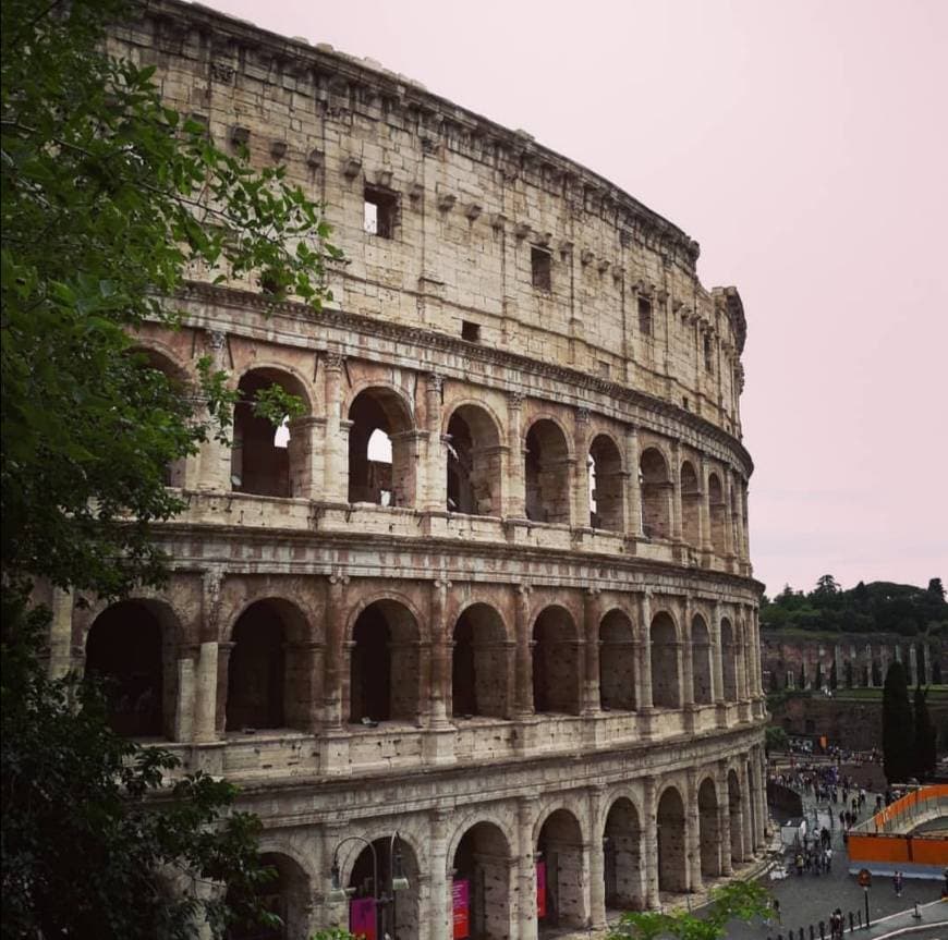 Place Coliseo de Roma