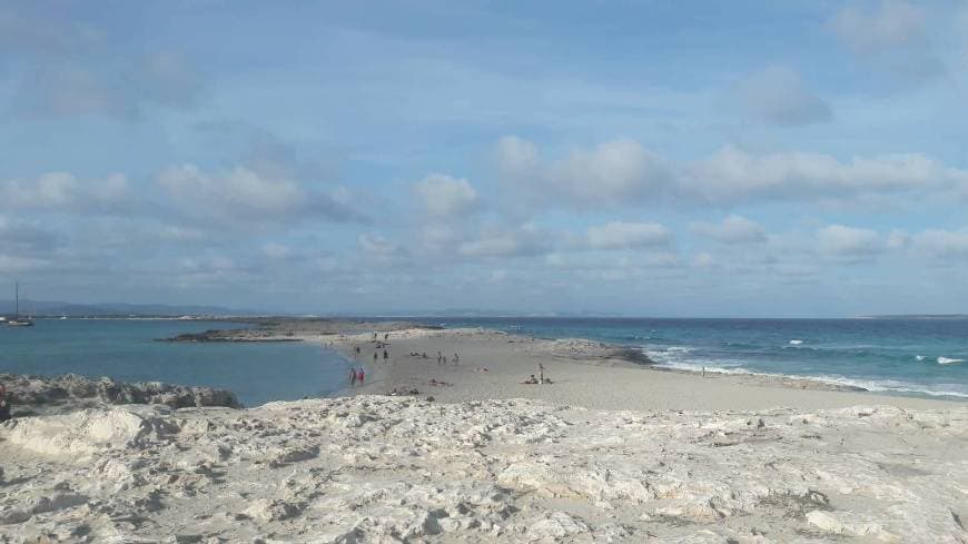 Lugar Playa De Ses Illetes