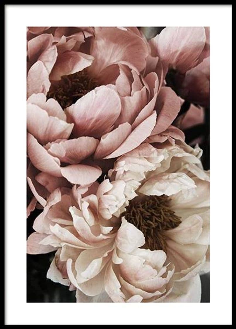 Producto Flower Poster 