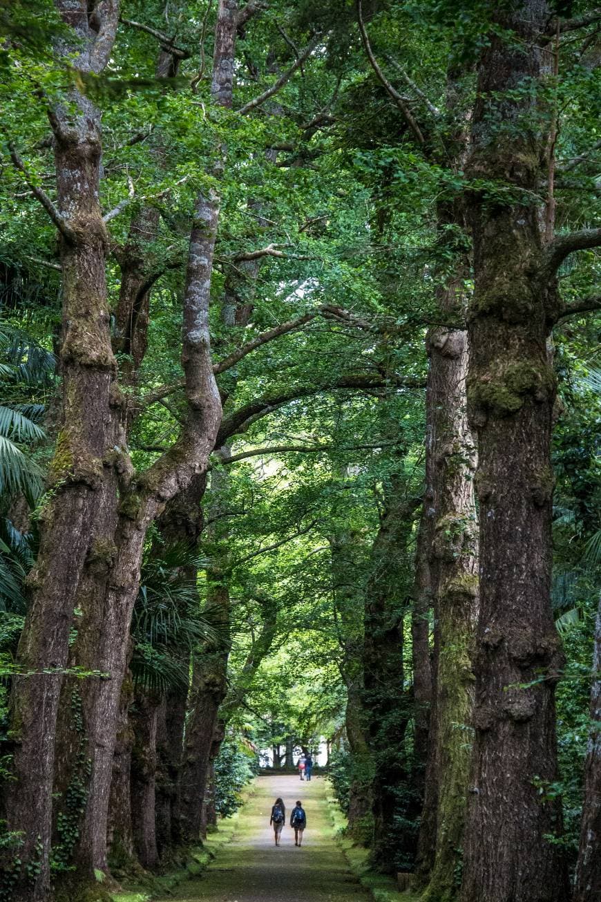 Lugar Terra-Nostra-Park