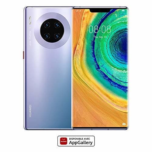 Product Mate 30 Pro Space Silver