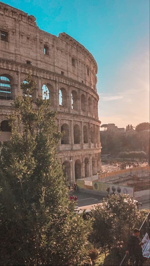 Lugar Coliseo de Roma