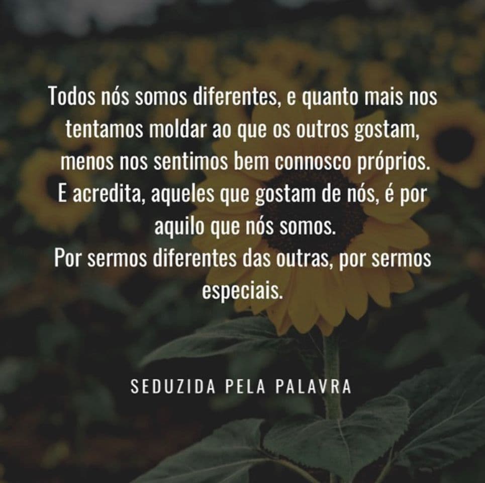 Moda Seduzida pela palavra 💛