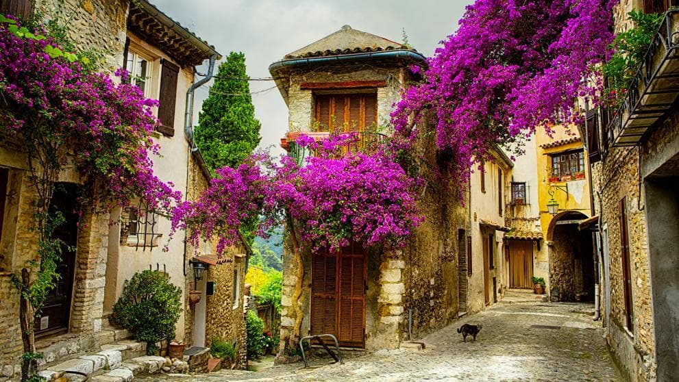 Lugar Provence