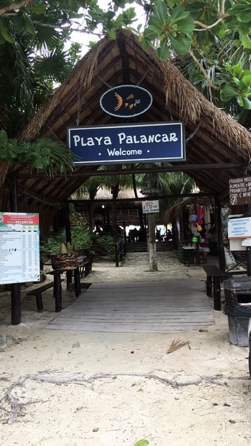 Place Playa Palancar