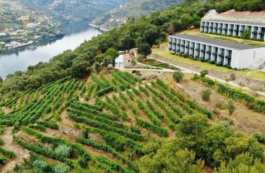 Lugar Douro Palace Hotel Resort & Spa