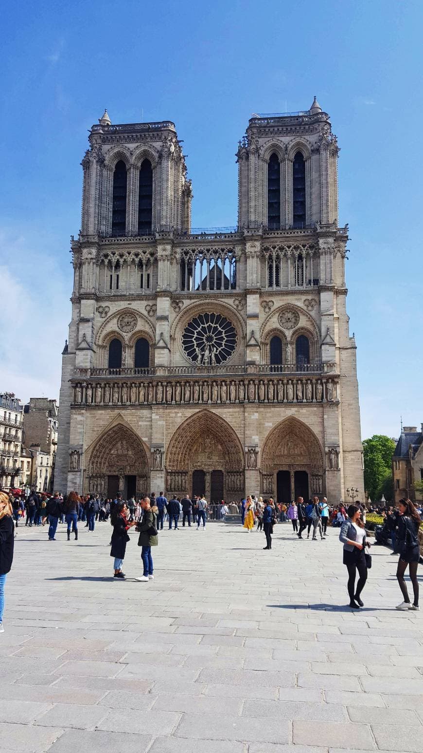 Lugar Catedral de Notre Dame