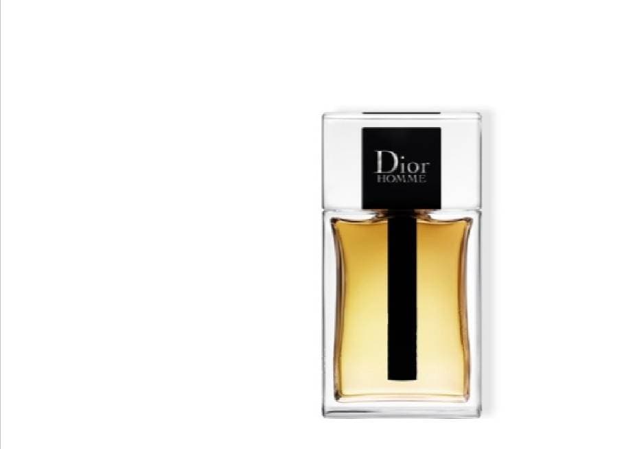 Fashion Dior homme