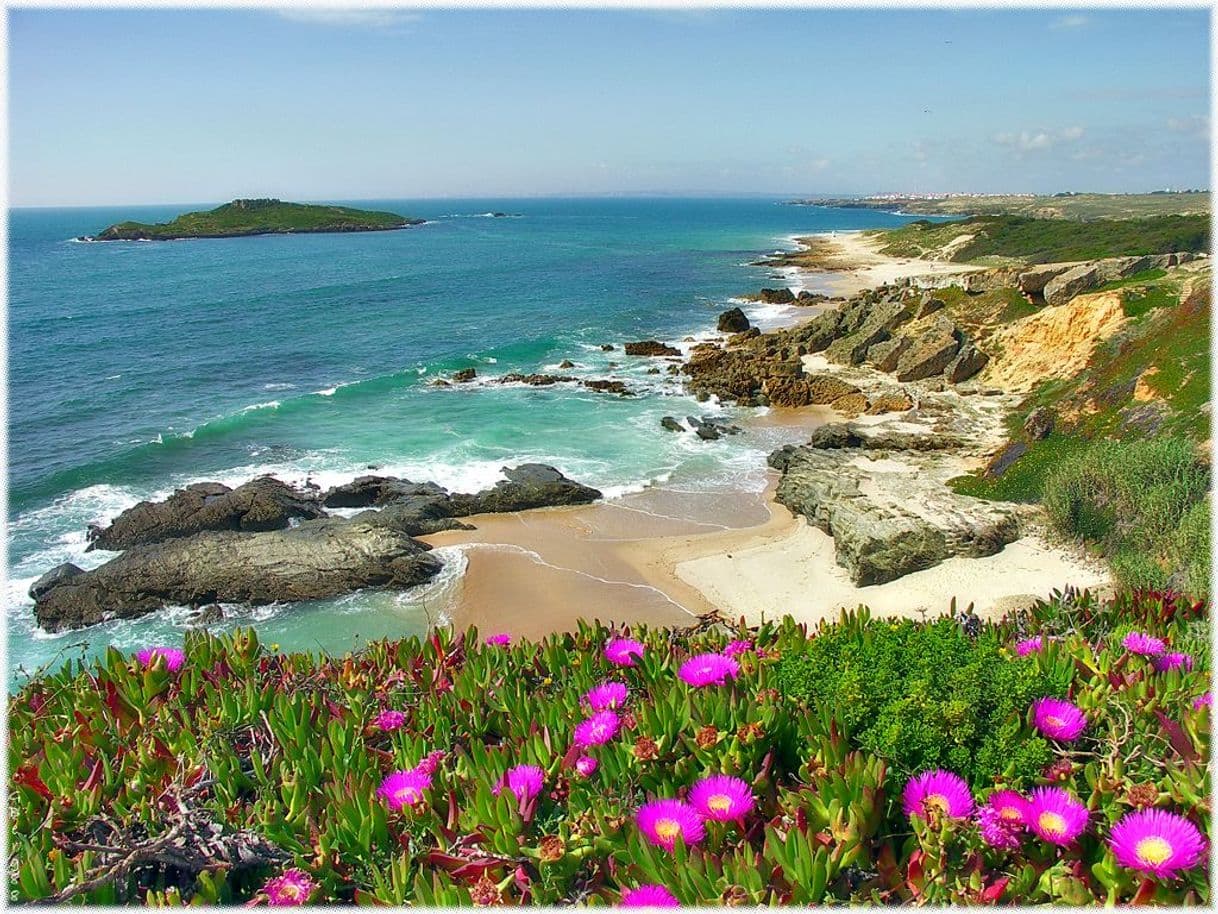 Place Praia da Ilha do Pessegueiro