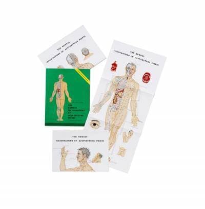 Producto Mapa "The Newest Illustration of Acupuncture Points"