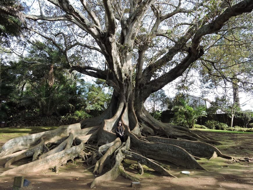 Lugar Jardim António Borges