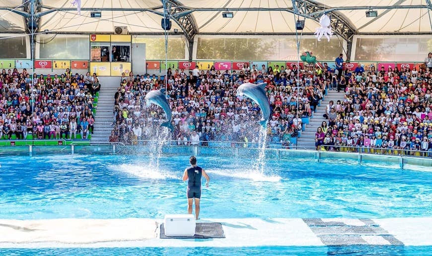 Moda Jardim zoológico de Lisboa 🐬