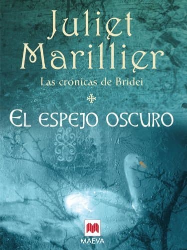 Book El espejo oscuro