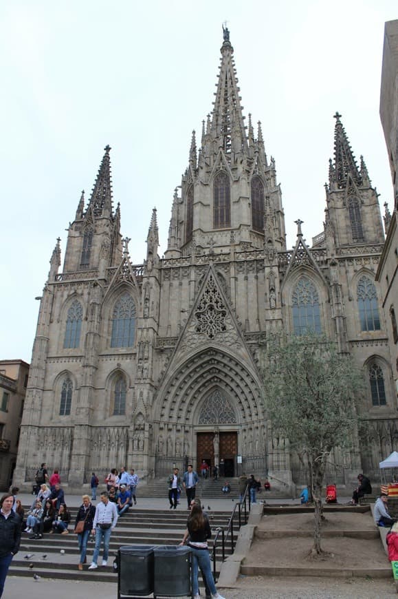 Lugar Catedral de Barcelona