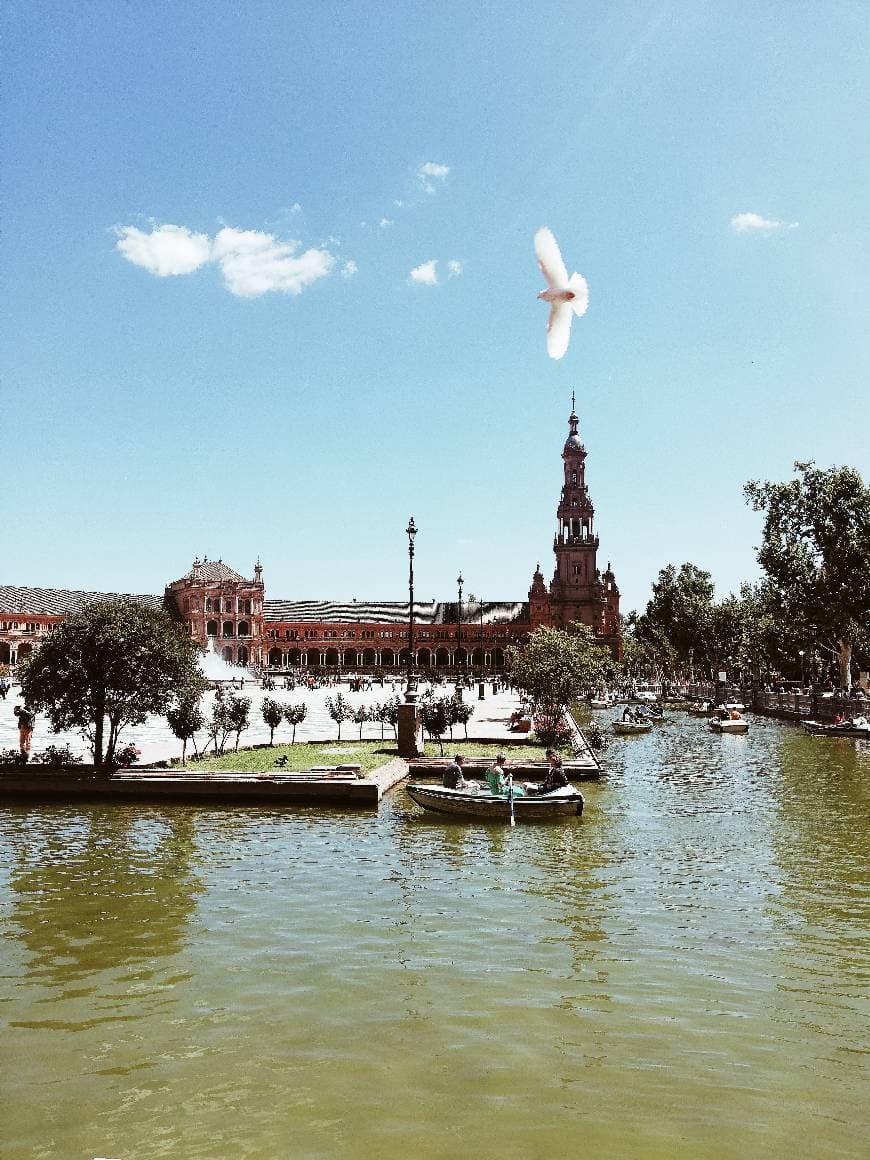 Place Plaza de España