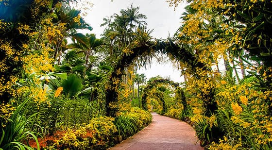 Lugar Jardín Botánico de Singapur