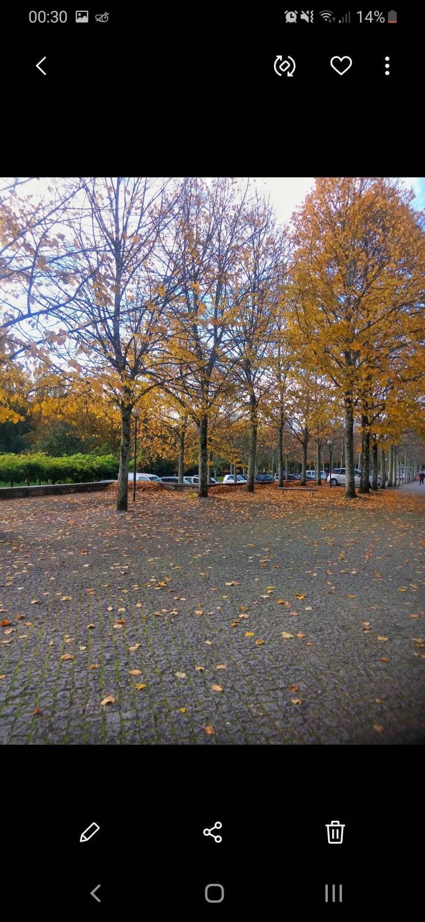 Place Univ de Guimarães 