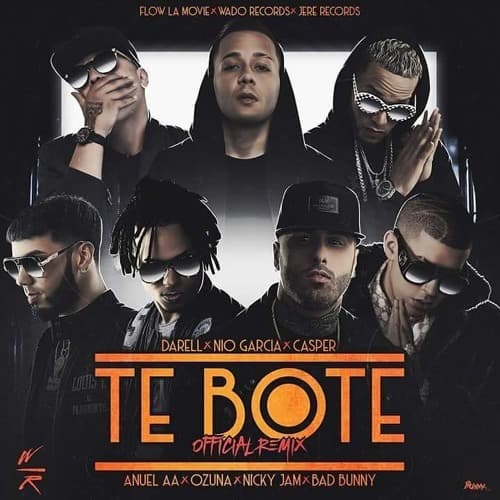 Canción Te Boté - Remix