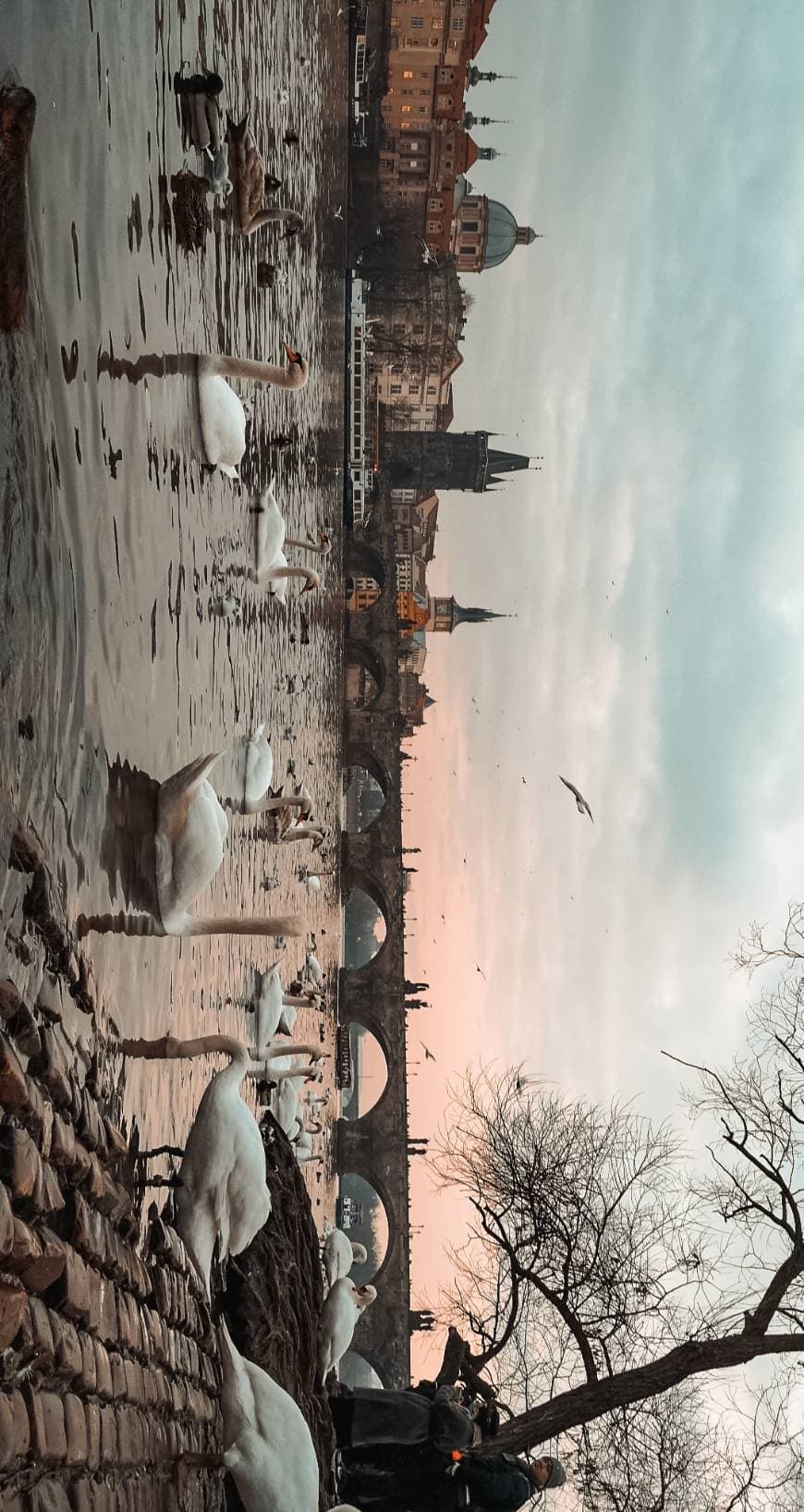 Lugar Charles Bridge