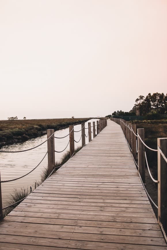 Place Passadiços Ria de Aveiro